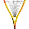 Prince Phoenix Elite 700 Squash Racquet -Tennis Promotion Shop prince phoenix elite 700 squash racquet 68524 61552.1698772310