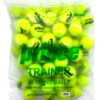 Prince Trainer Tennis Balls 60 Pack -Tennis Promotion Shop prince trainer tennis balls 60 pack 91684 95261.1698770299